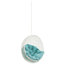 White/Turquoise