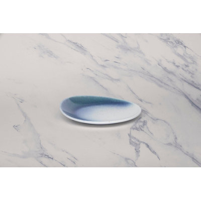 Porcelain Plate | Vital Coupe Elevated Plate,