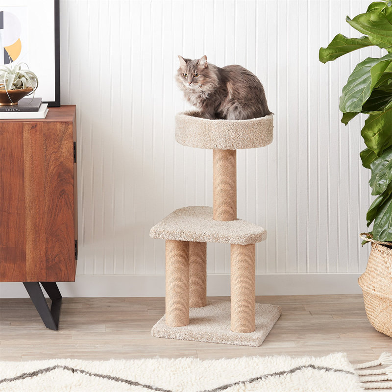 Arbre à chat H 15,71 po Fana