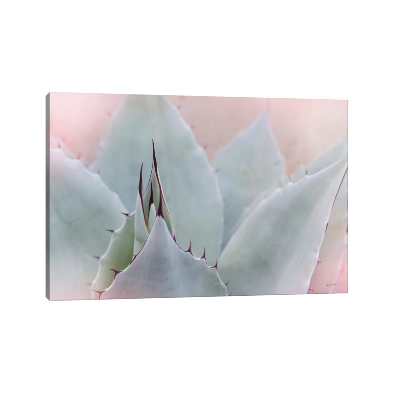 Dream Desert V by Sue Schlabach - Wrapped Canvas Print, 101.6 cm H x 66.04 cm W x 1.91 cm D