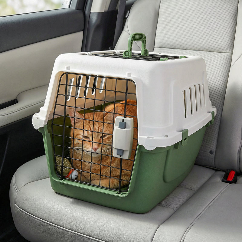 Boîte de transport en plastique pour animal de compagnie, H 15 po x l 22 po x P 14,5 po, Blanc / Vert