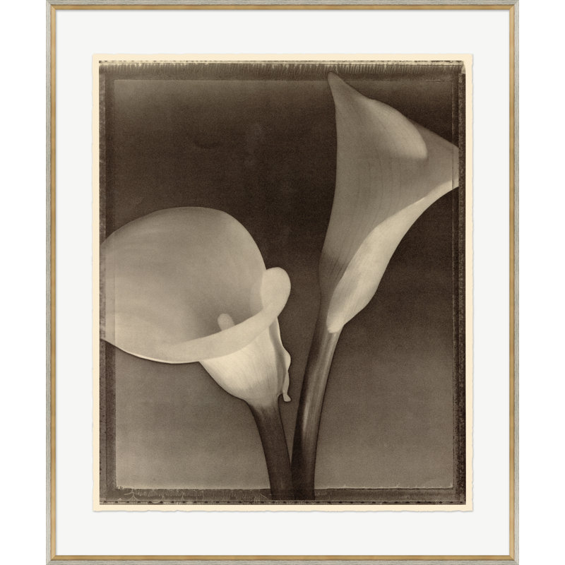 Sepia Flowers 9 Print