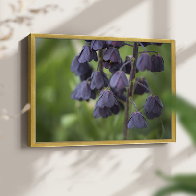 Aubergine -Framed Print - Restickable