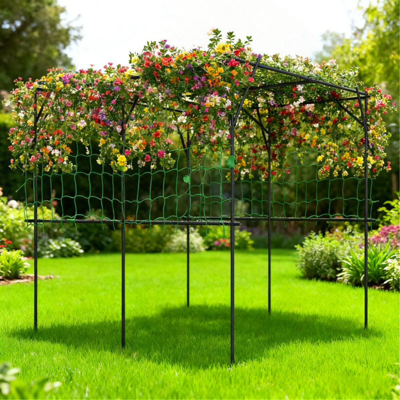 Support de treillis en métal pour jardin avec treillis