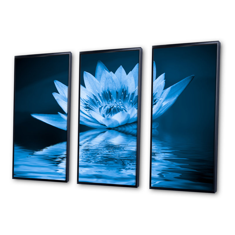 «Blue Water Lily» - Cadre flottant 3 pièces, impression sur toile, Cadre noir, L 36 po x H 28 po