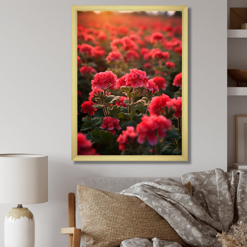 Photo Og Geraniums Field II sur toile, H 20 po x l 12 po x P 1 po, Cadre doré simple
