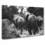 Herd Of Elephants - Wrapped Canvas-61852703
