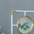 Gold And White Frame With Mirror