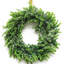Couronne en plastique eucalyptus-726362230