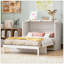 Lit escamotable double avec grands tiroirs-129746937