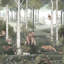 Boråstapeter Wild Forest Mural Wallpaper