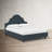 Knipe Upholstered Unfinished Scalloped Bed-1741008367-1638192983