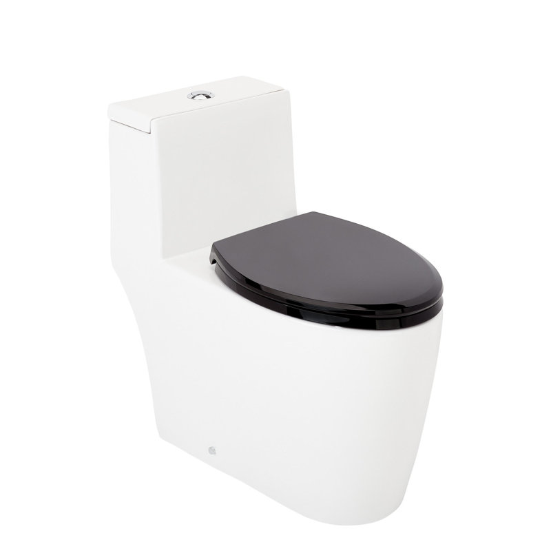 Sitka 1.28 GPF One Piece Elongated Toilet, Black