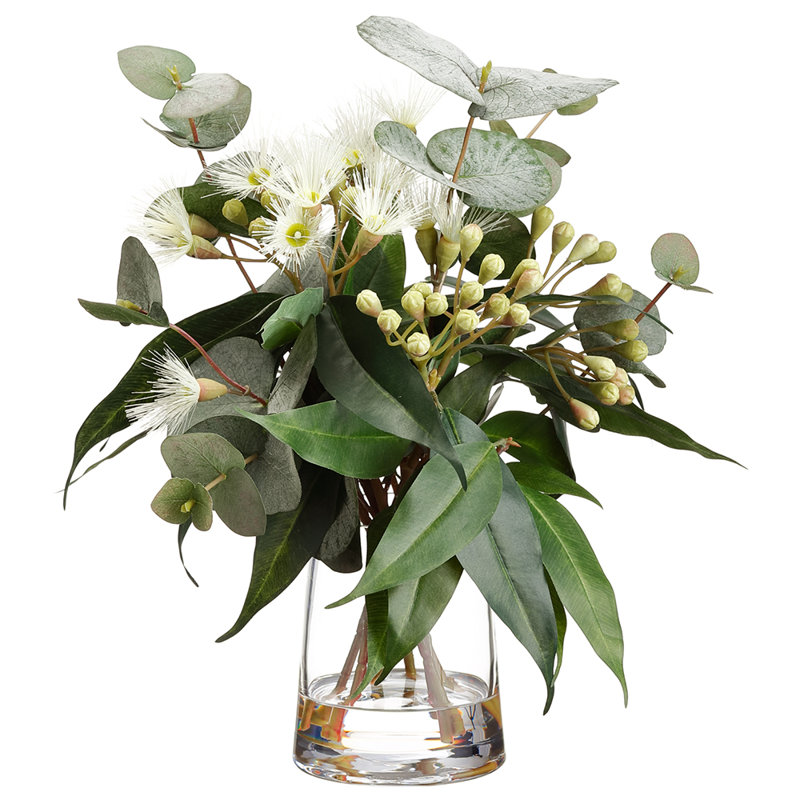 14 "Eucalyptus dans un vase en verre vert crème