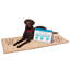Paillasson BIRDROCK Home Chenille-1604965751