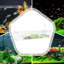 Divergent Rectangle Aquarium Tank