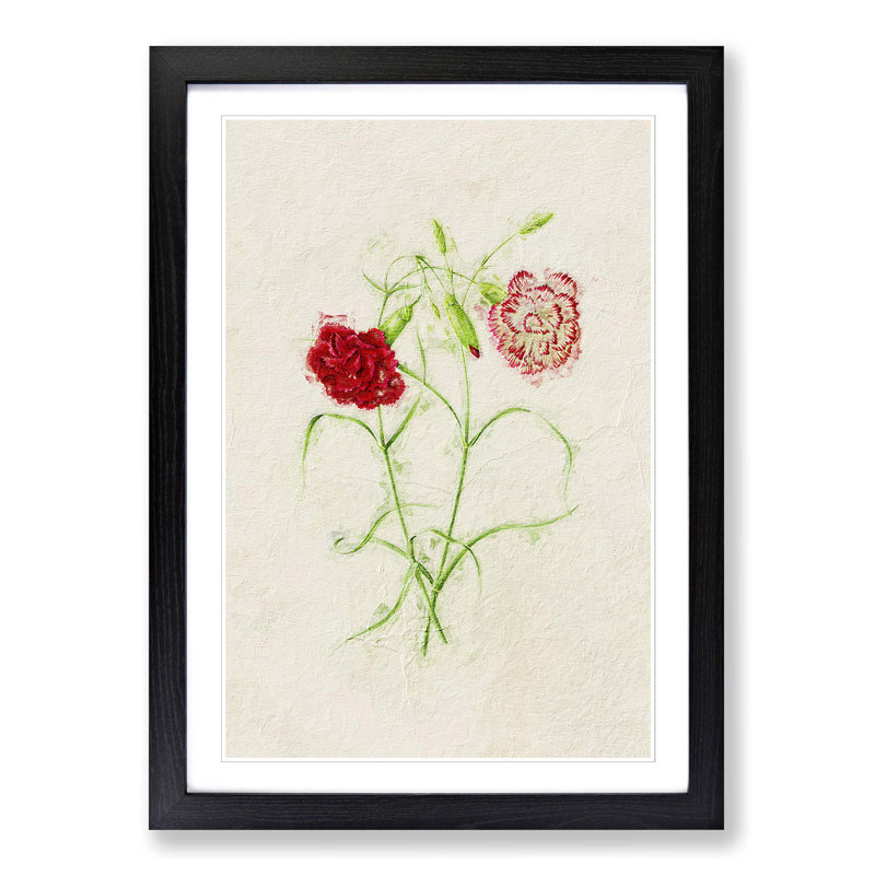 Illustration of Pink Carnation Flowers - Picture Frame Painting Print, 48cm H x 36cm W x 2cm D, Black Framed