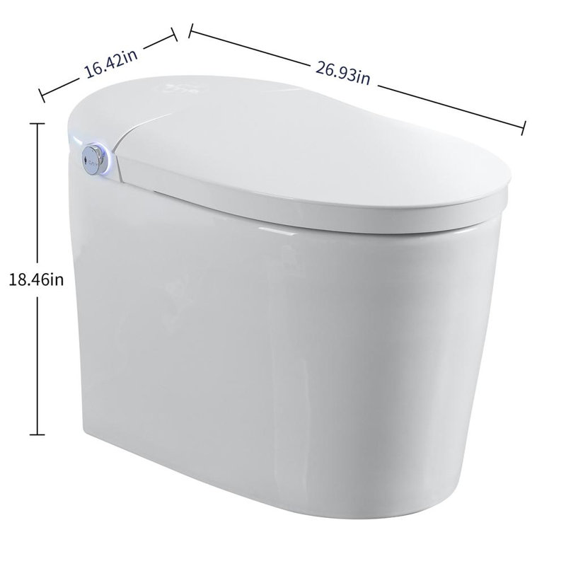 Smart Toilet