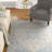Donivin 100 Performance Oriental Rug-27096349