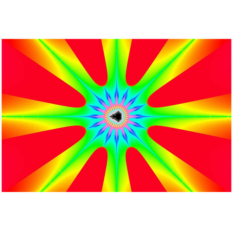 Non-Wall Damaging Wall Decal, 48" H x 72" W