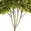 Natural Botanicals 15" Hydrangea with Multiple Branch Segments, Preserved-846458523