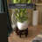 Eastep Wood Vase Stand-520994583