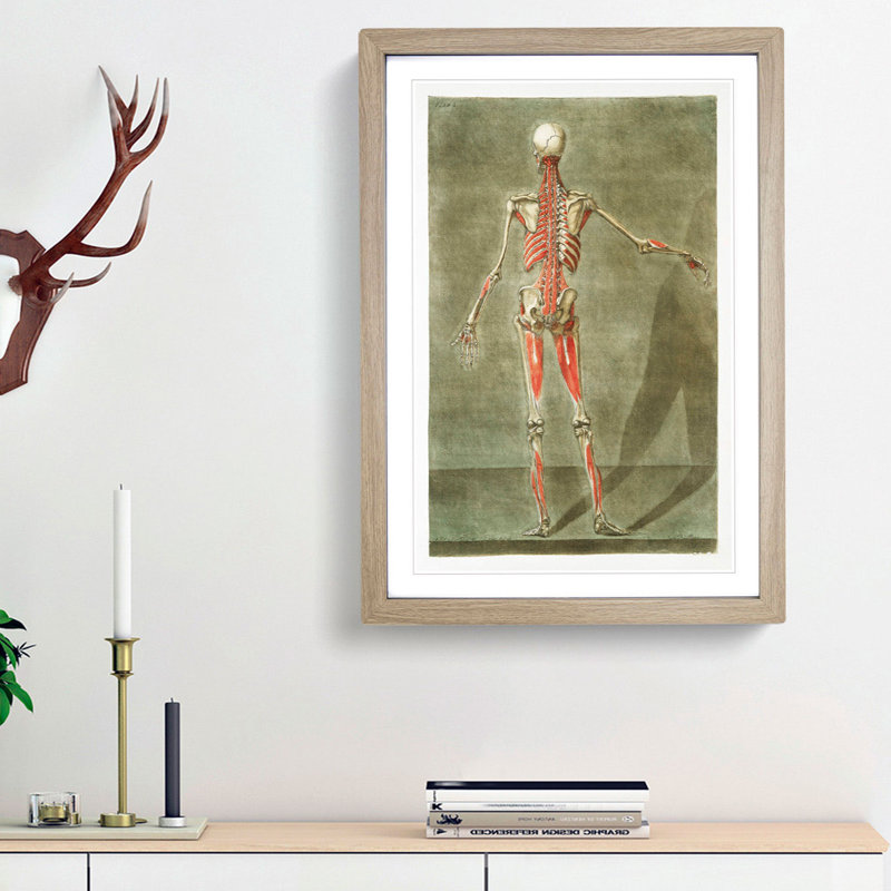 Anatomical Illustration of a Male No. 8 by Gautier-Dagoty - Picture Frame Painting Print, 48cm H x 36cm W x 2cm D, Oak Framed