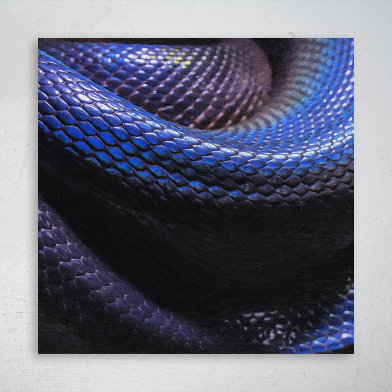 Photo de serpent noir - peinture sur toile tendue, H 32 po x l 32 po
