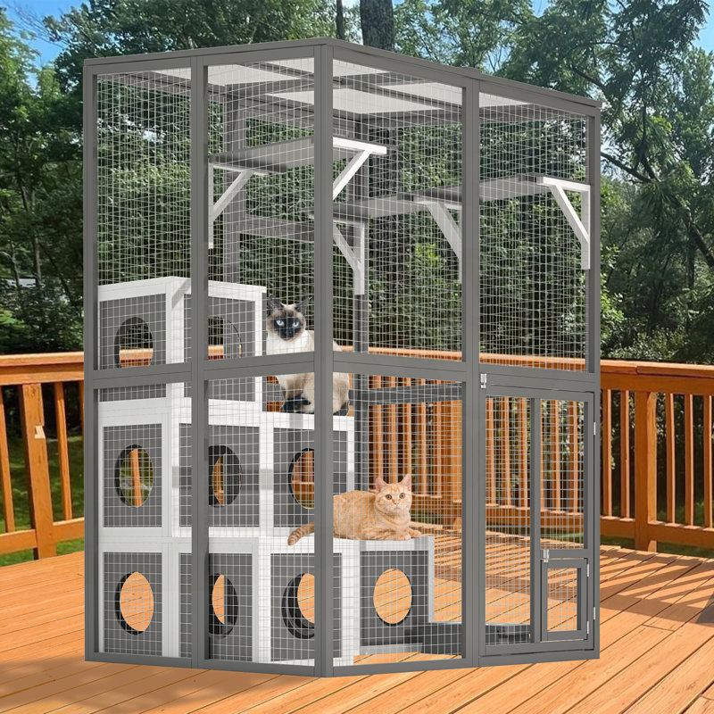 Parc pour chat en bois avec plusieurs plateformes et maisons pour le plaisir des félins
