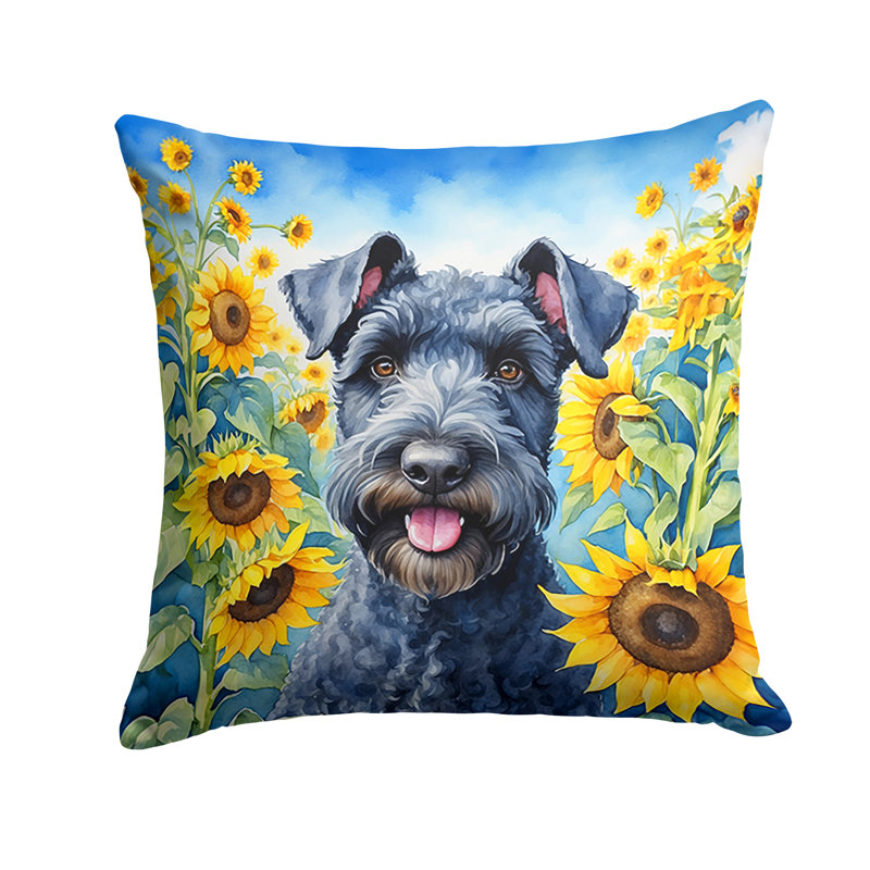 Other/No Pattern Outdoor Throw Pillow, 14" H x 14" W