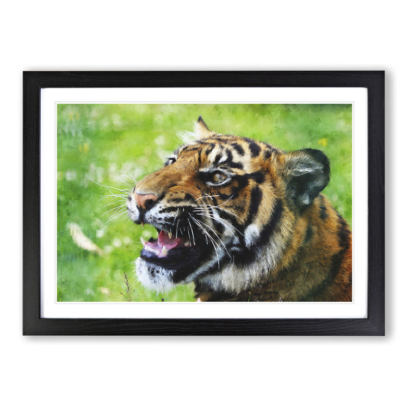 Tiger Vol.1 - Picture Frame Graphic Art, 27cm H x 36cm W x 2cm D, Black