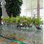 Driftwood Cymbidium Orchids Centerpiece in Glass Planter-1216674910-1216674911