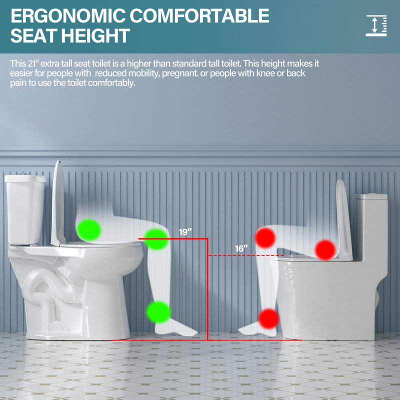 19 in. White Vitreous China Dual Flush Elongated Toilet