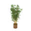Arbre artificiel à feuilles et Cole Cole Grey-1122949464-1122949446