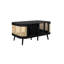 Amanni 1 Piece Coffee Table-1005973567
