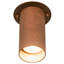 2 - Light Flush Mount