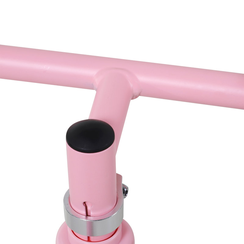 HOMCOM Push/Pull Ride On, Pink