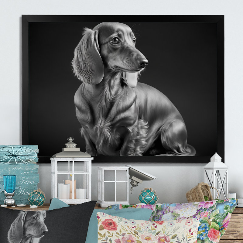 Pados noir et blanc Daschund - photographie sur toile, Impression noire sur toile encadrée, H 12 po x l 20 po x P 1 po