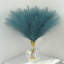 Herbe de 17 po Pampas-2050360863