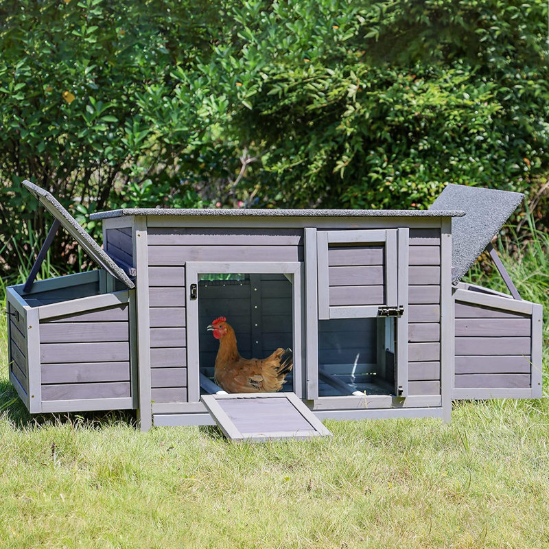  Grand poulailler en cage