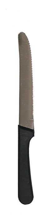 Update International Serrated Steak Knife