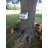 Bird in Hand Series Cumberland Chicken Coop 10 in x 10 in x 8 in Birdhouse