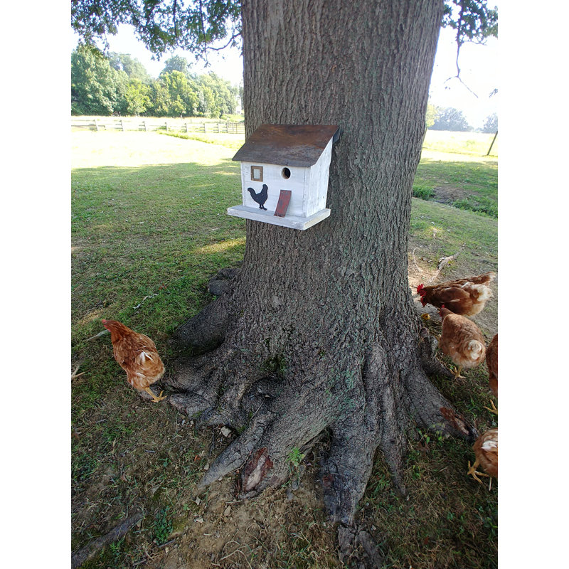 Rustic White Reclaimed Wood Chicken Coop Birdhouse