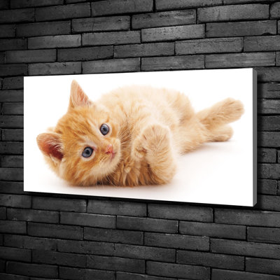 Red Cat - Wrapped Canvas Print