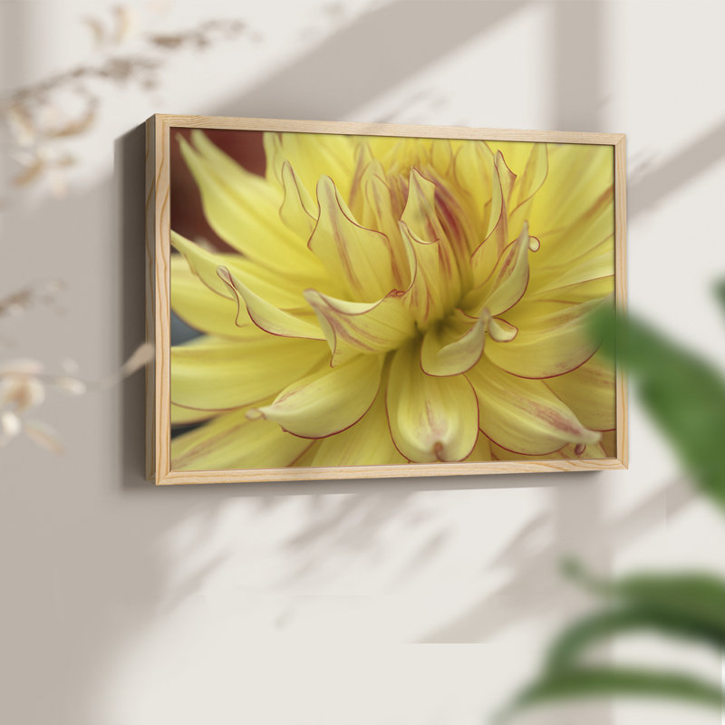 Blooms I - reproduction encadrée - réversible, H 8 po x l 10 po, Naturel