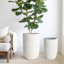 Grand pot à fleurs moderne en oxyde de magnésium H 18 po - fini patiné avec drainage pour une utilisation intérieure / extérieure-1817328554-1817328553