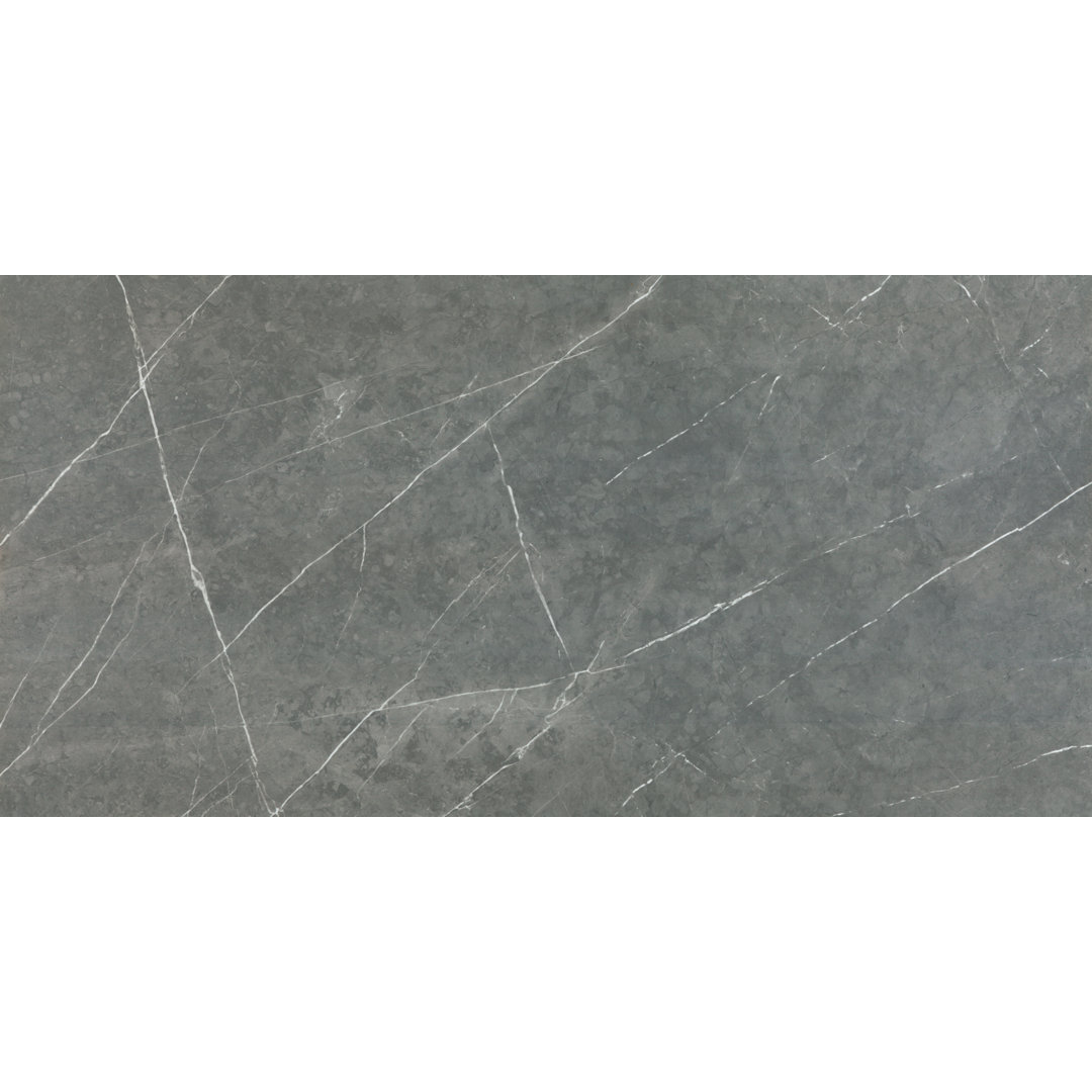 Alastair 24" x 48" Floor & Wall Tile The Tile Life 