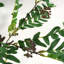 127cm Faux Fern Plant in Pot Liner