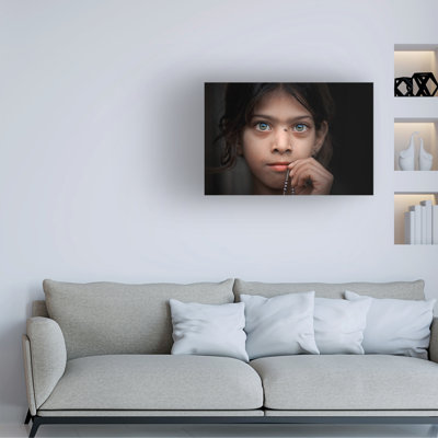 Sergio Pandolfini The Fly Canvas Art