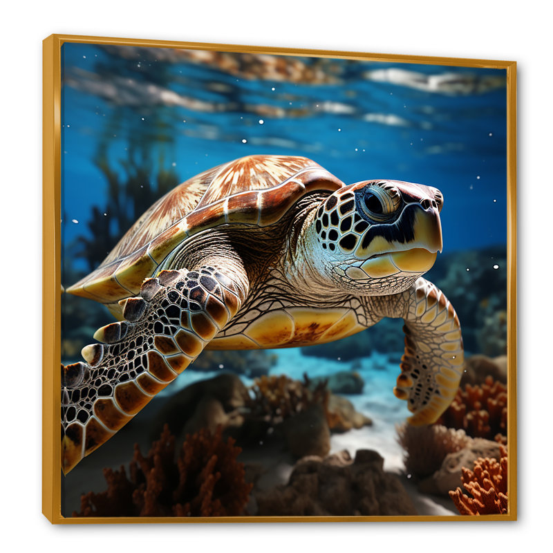 «Curious Underwater Sea Turtle I», reproduction sur toile, Cadre flottant doré, H 16 po x l 16 po